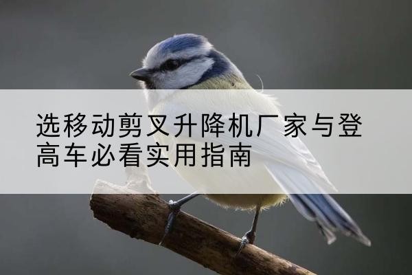 平桂电动升降机厂家-选移动剪叉升降机厂家与登高车必看实用指南