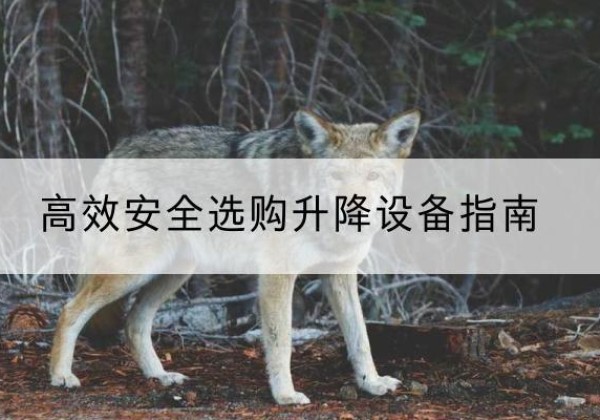 平桂升降货梯厂家推荐-*安全选购升降设备指南