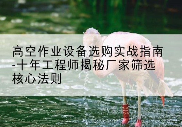 平桂剪叉式升降机厂家-高空作业设备选购实战指南-十年工程师揭秘厂家筛选核心法则